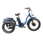 Olic Top 750 Electric Tricycle