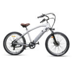 GlareWheel EB-X11 Electric Bike