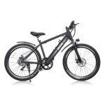 GlareWheel EB-X9 Electric Bike