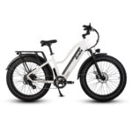 Dirwin Pioneer Step-Thru Electric Bike
