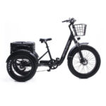 Oh Wow Cycles Conductor 500 Folding Electric Trike