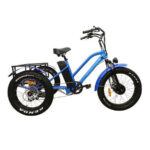 Oh Wow Cycles Conductor 750 Electric Trike