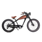 GlareWheel EB-CH Electric Bike