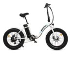 Ecotric Dolphin Electric Bike
