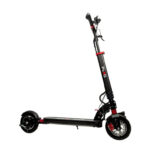 GoPower Plug Runner Electric Scooter