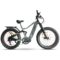 Mtnbex EGoat Electric Bike