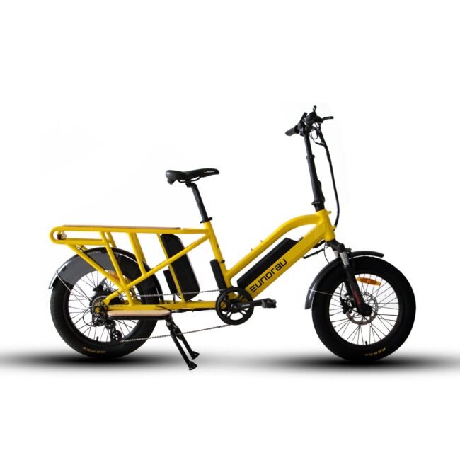 Eunorau Cargo Electric Bike