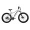 Vanpowers Manidae Electric Bike