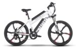 Emmo Monta X2 Electric Bike