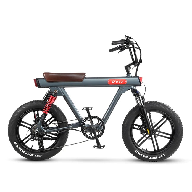 DYU V8 Electric Bike