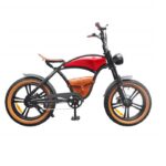 Hidoes B10 Electric Bike