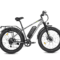 Mukkpet Suburban Electric Bike