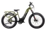 Denago Hunting 1 EMTB Electric Bike