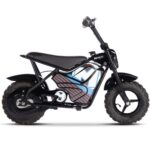MotoTec 24v 250w Electric Mini Bike