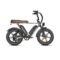 Mukkpet Ninja Electric Bike