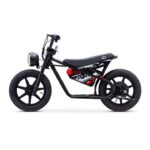 Droyd Weeler Electric Bike