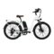 GlareWheel EB-RU Pro Electric Bike