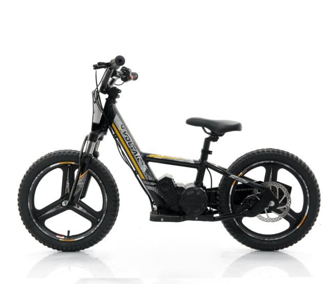 GlareWheel 16" Voltaic Lion Pro Balance Electric Bike