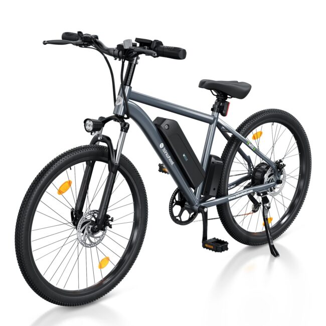 Isinwheel M10 Electric Bike