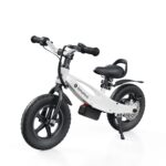 Isinwheel SK12 Electric Bike