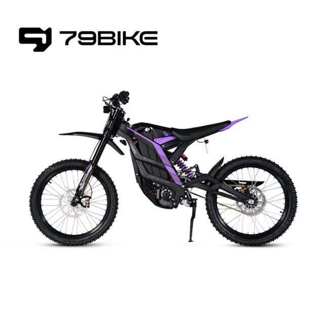 79Bike Falcon Pro Electric Bike